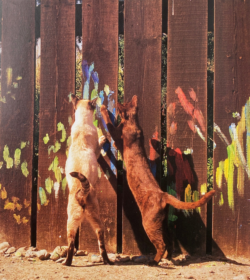 Why Cats Paint