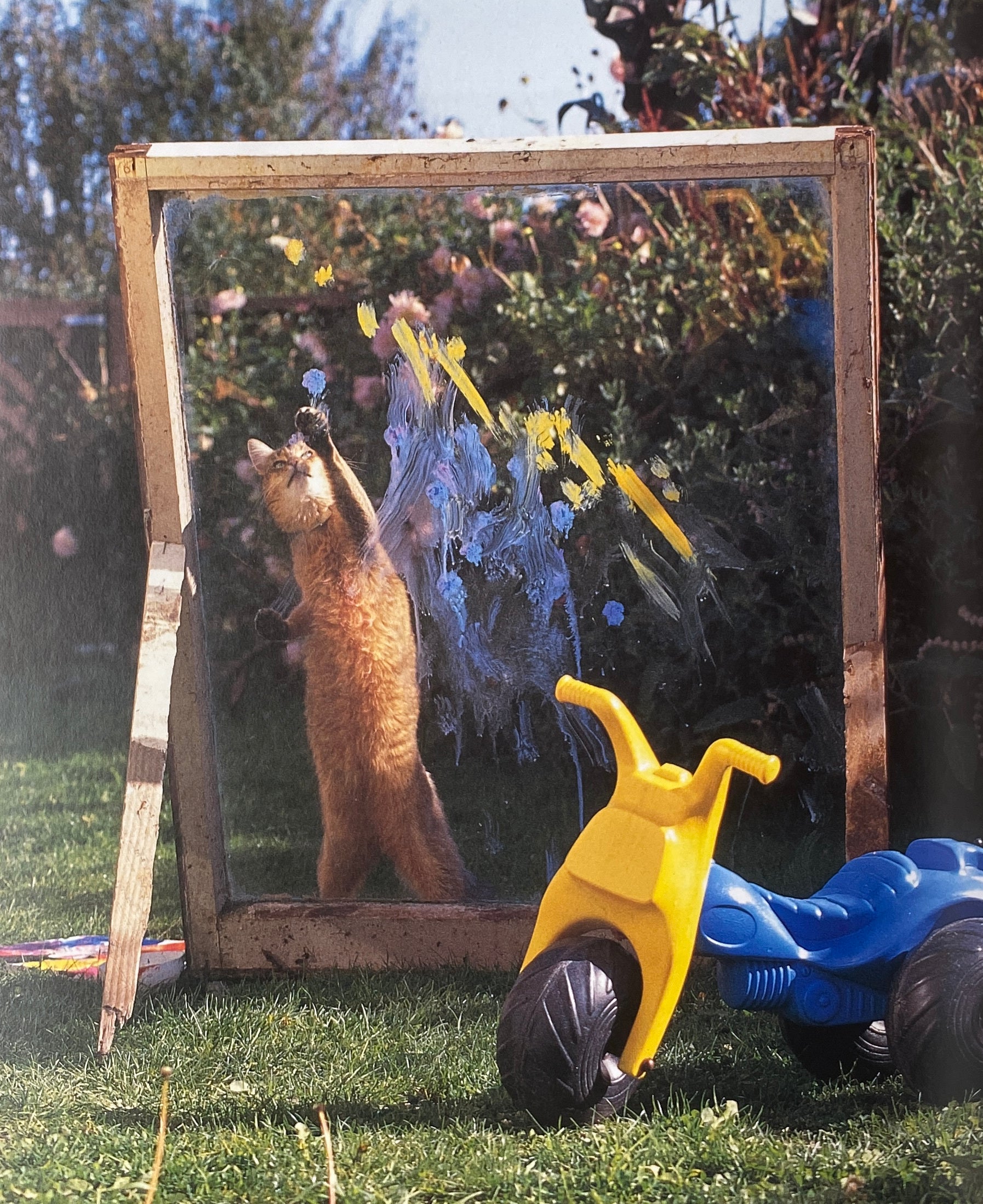 Why Cats Paint
