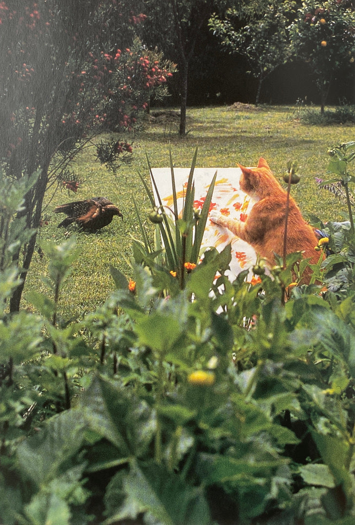 Why Cats Paint
