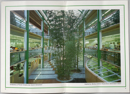 Bamboo