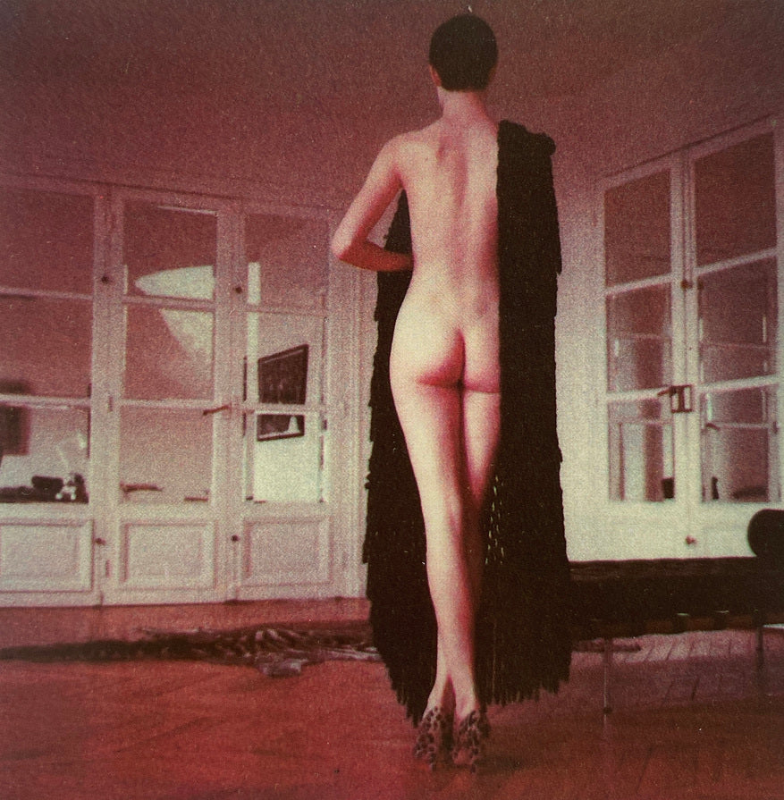 SX-70 Art