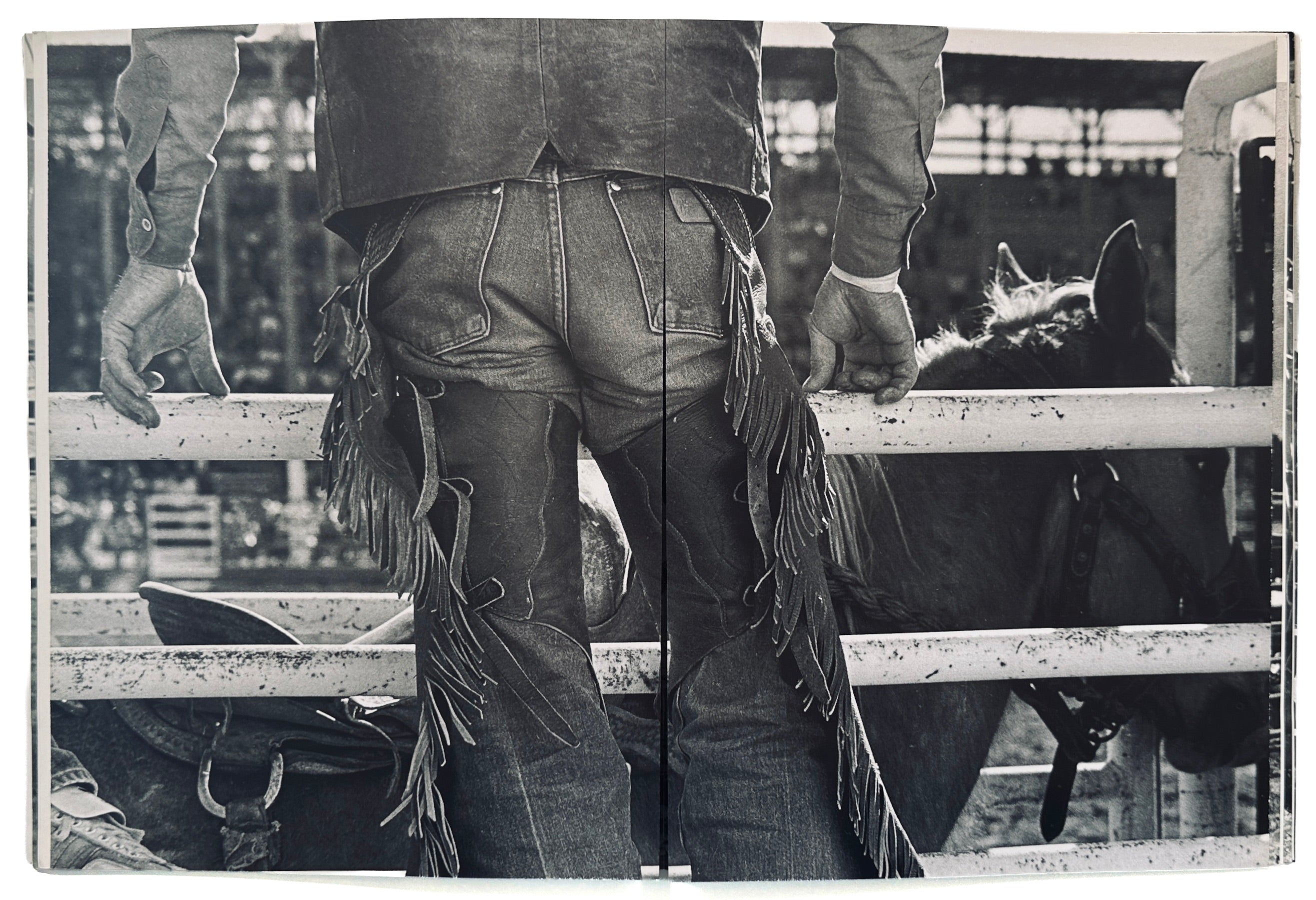 Rodeo