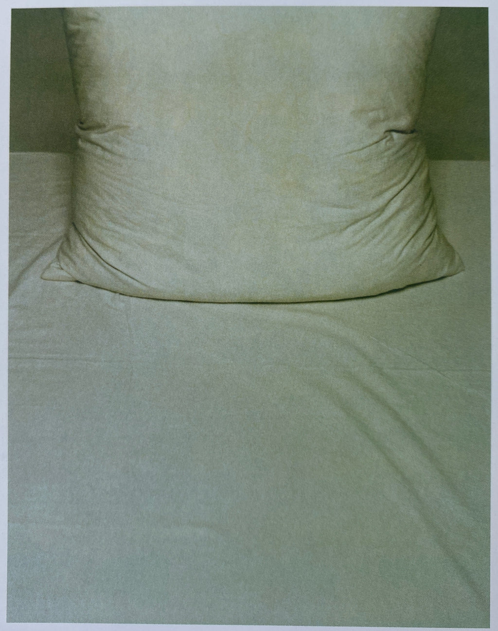 Inez Vinoodh Photographs 2001