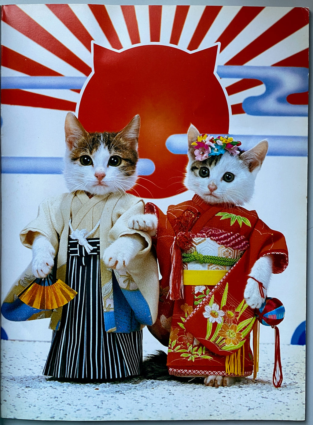 Sorry Cats (Not Sorry)