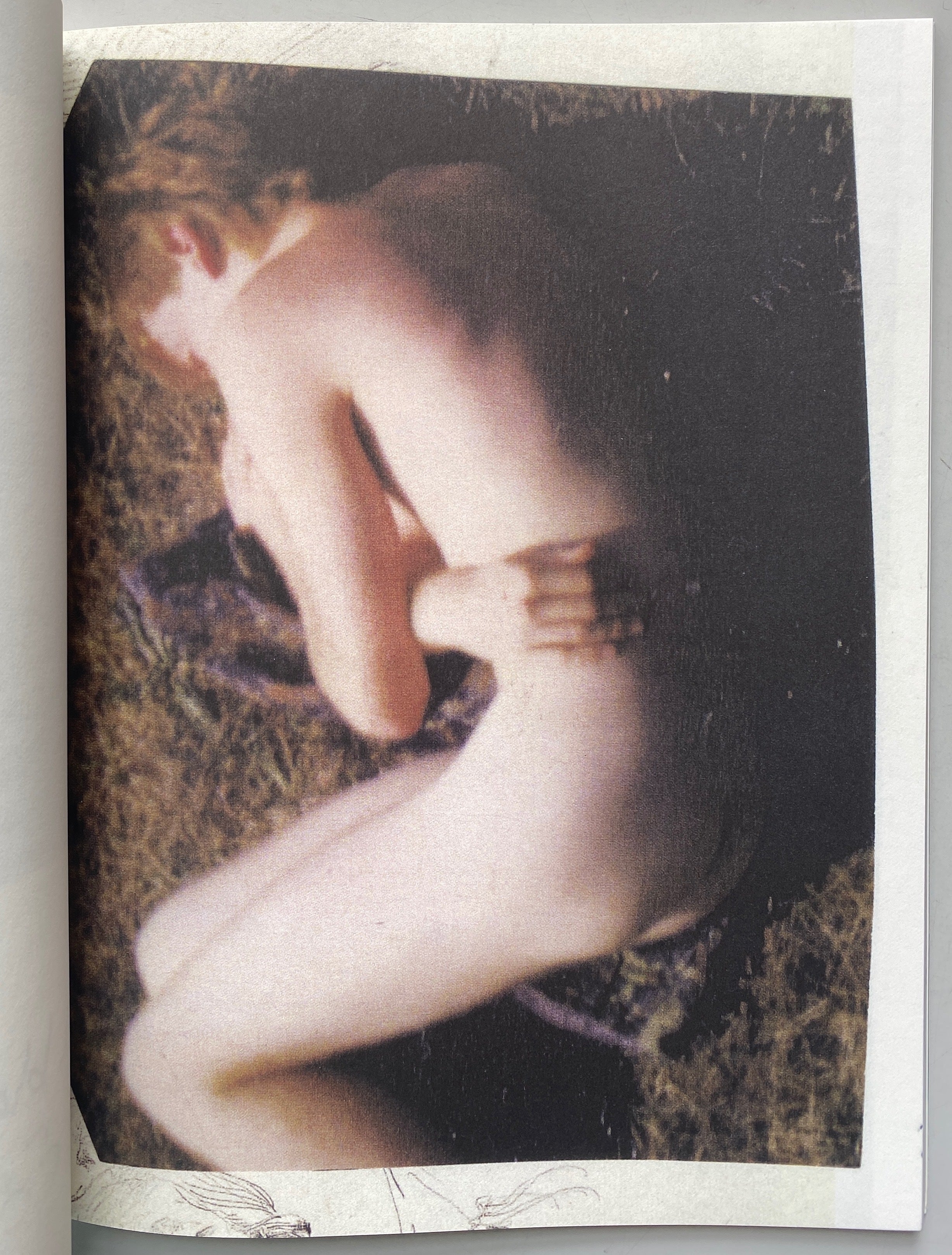 Collier Schorr Contacts