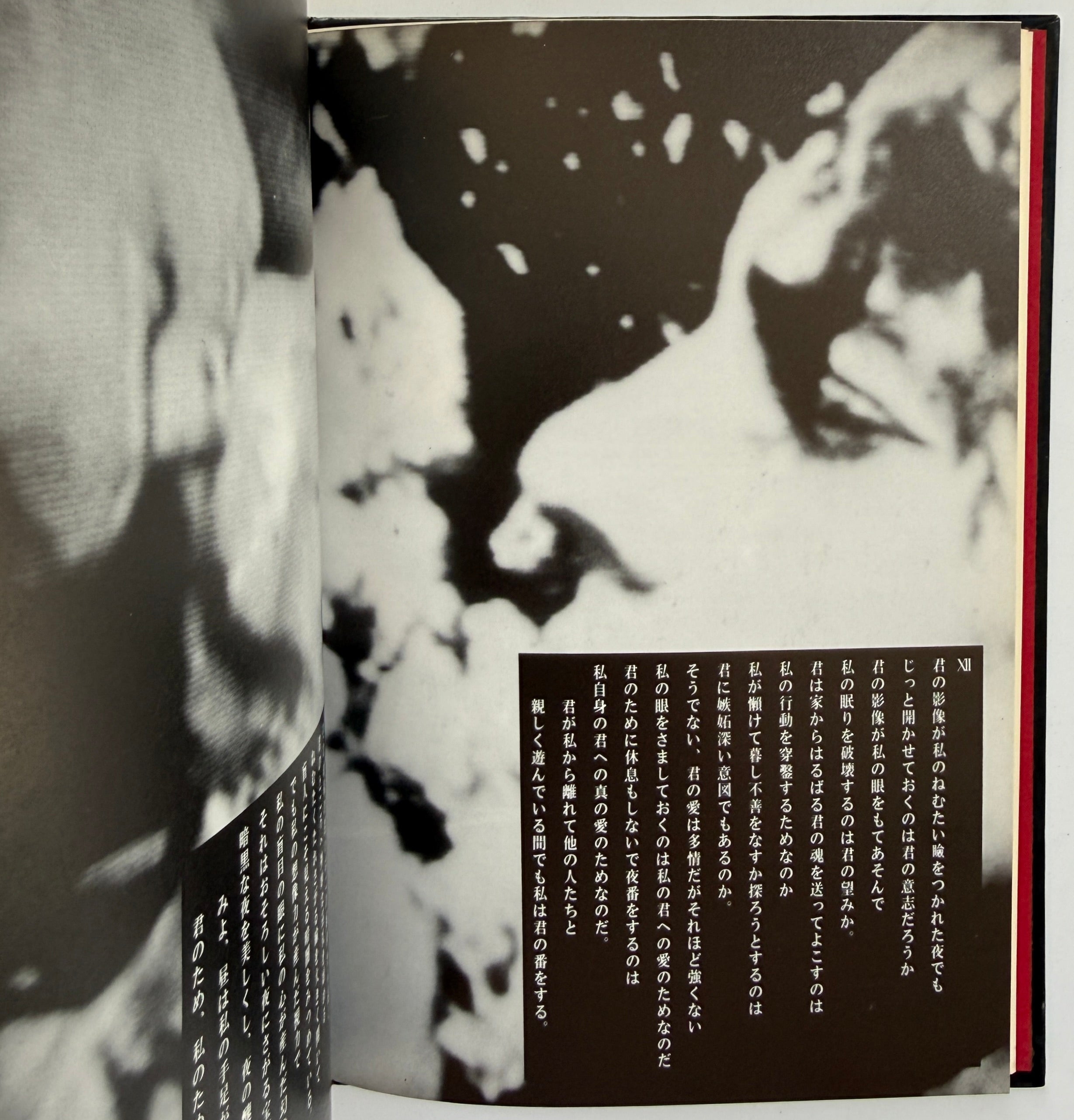 Derek Jarman The Angelic Conversation