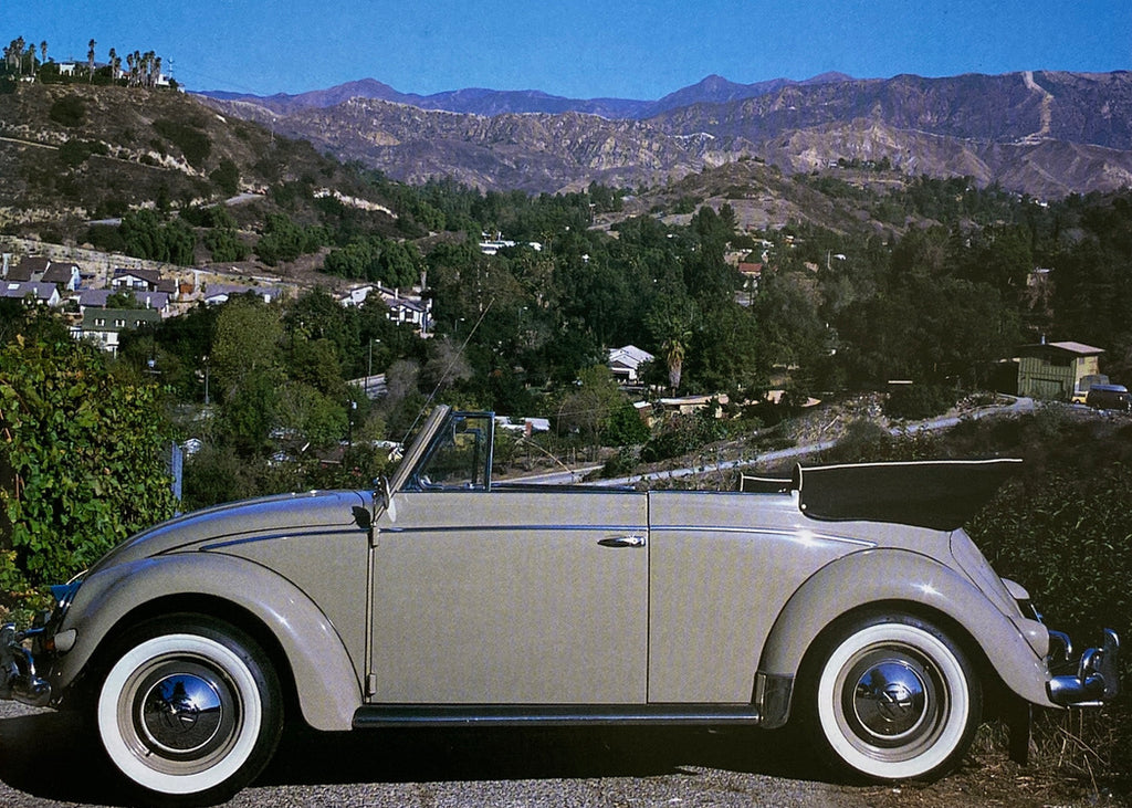 The Vintage Volkswagens