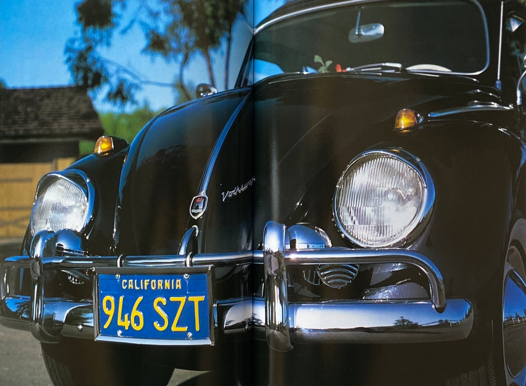 The Vintage Volkswagens