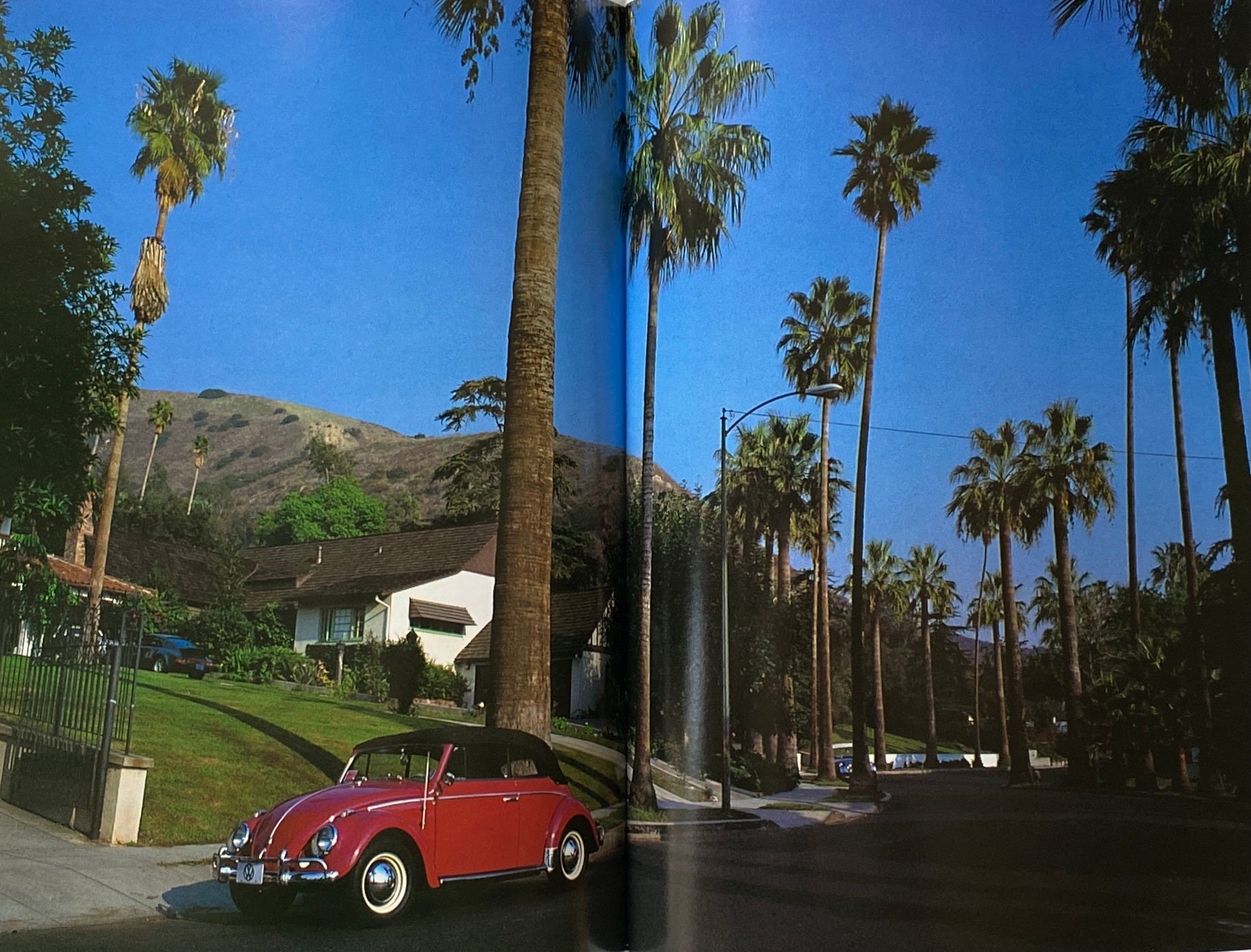 The Vintage Volkswagens
