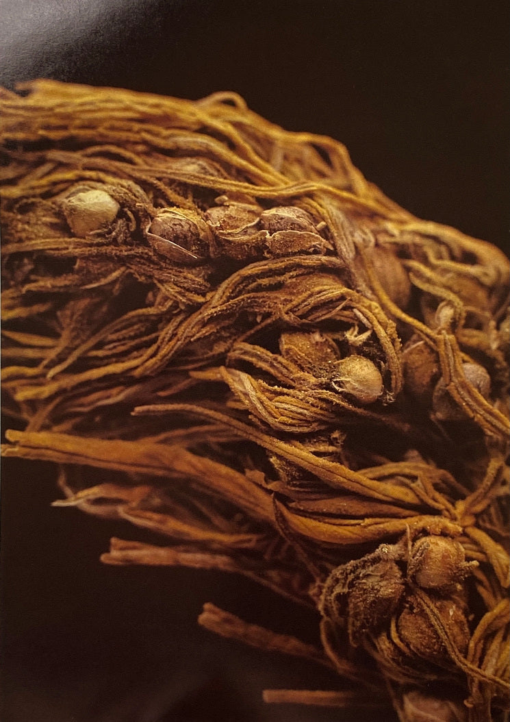 Cannabis Calendar 1980