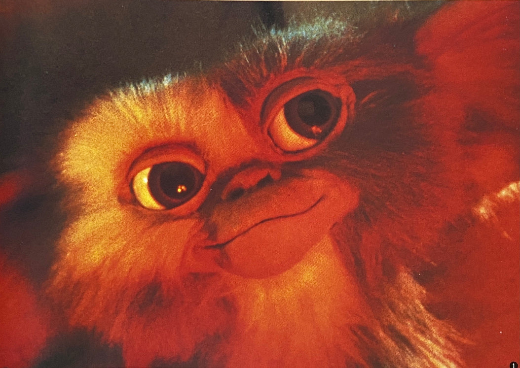 Inside Gremlins