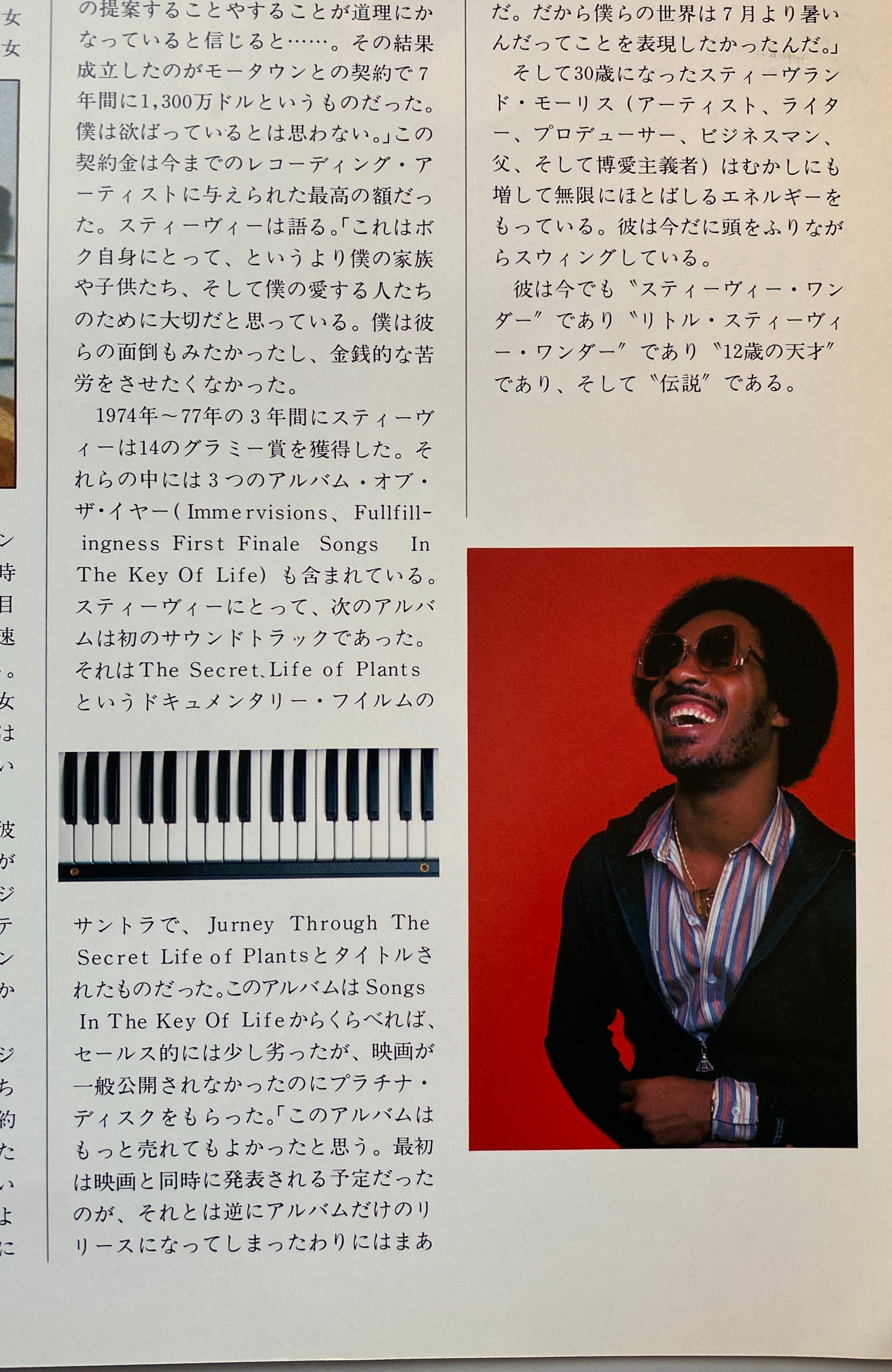 Stevie Wonder Hotter Than July Musical Picnic
