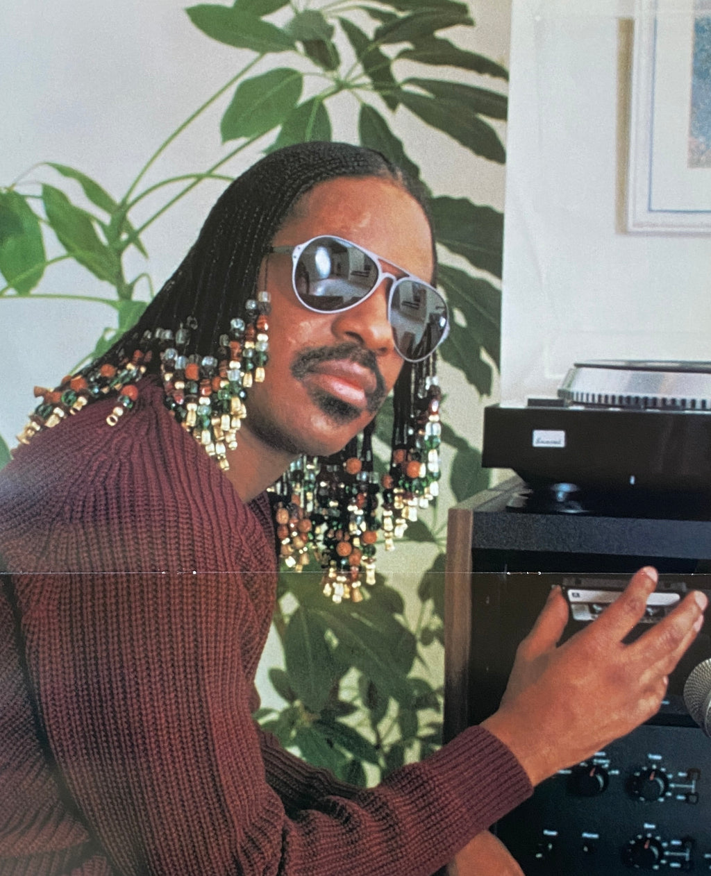 Stevie Wonder Hotter Than July Musical Picnic