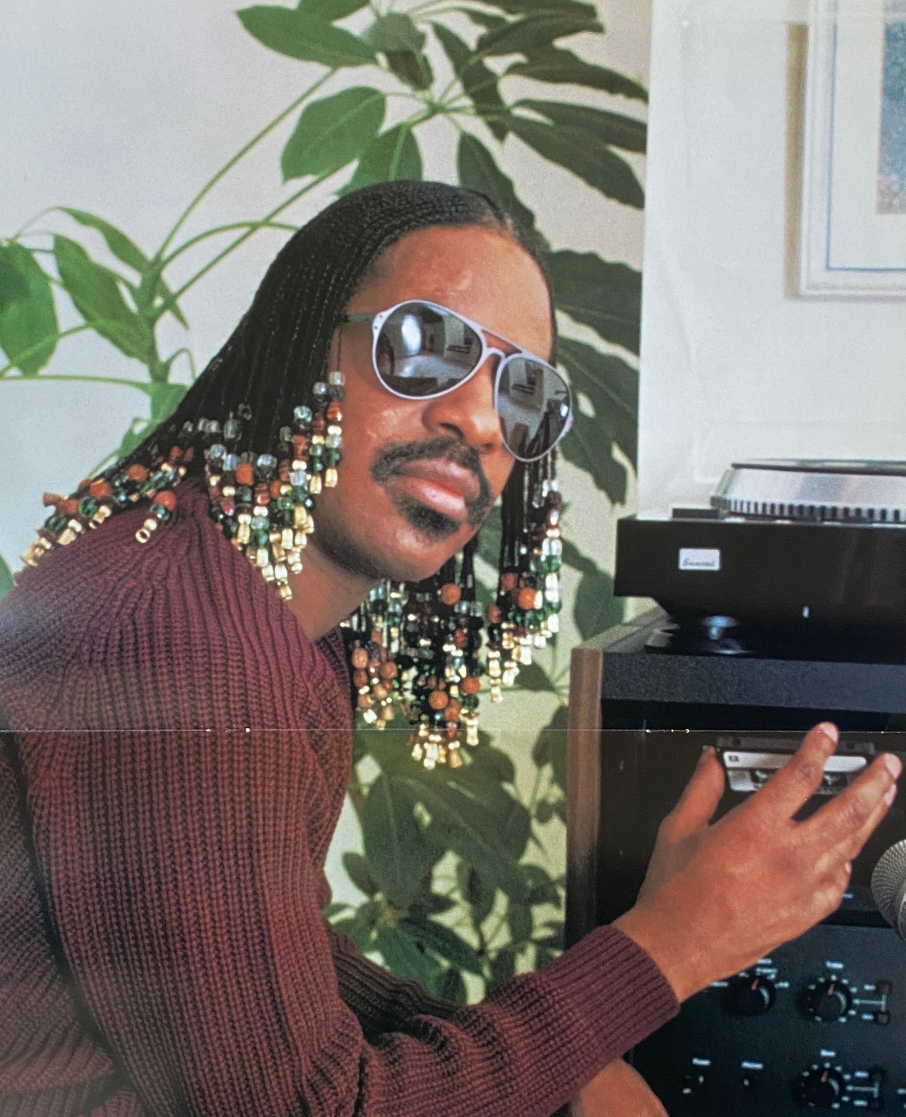 Stevie Wonder Hotter Than July Musical Picnic