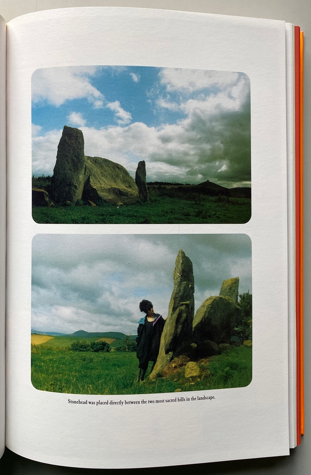 [SIGNED] JULIAN COPE MODERN ANTIQUARIAN