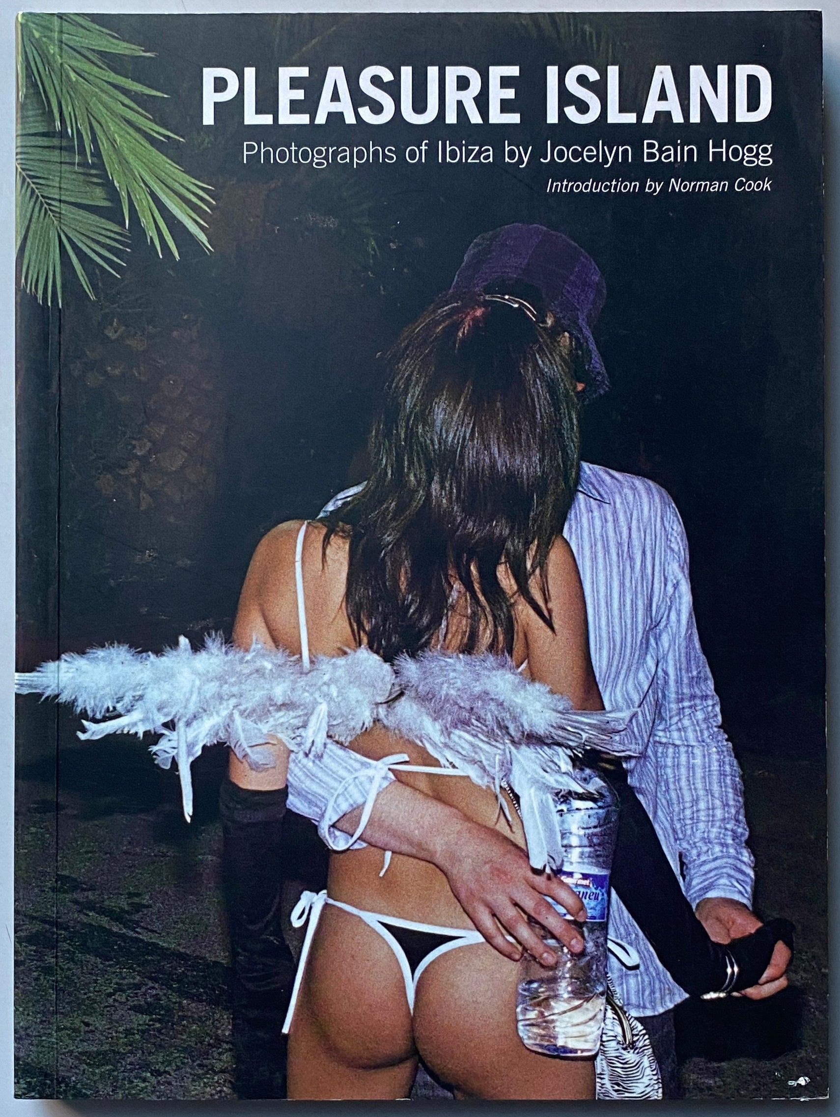 Jocelyn Bain Hogg Pleasure Island