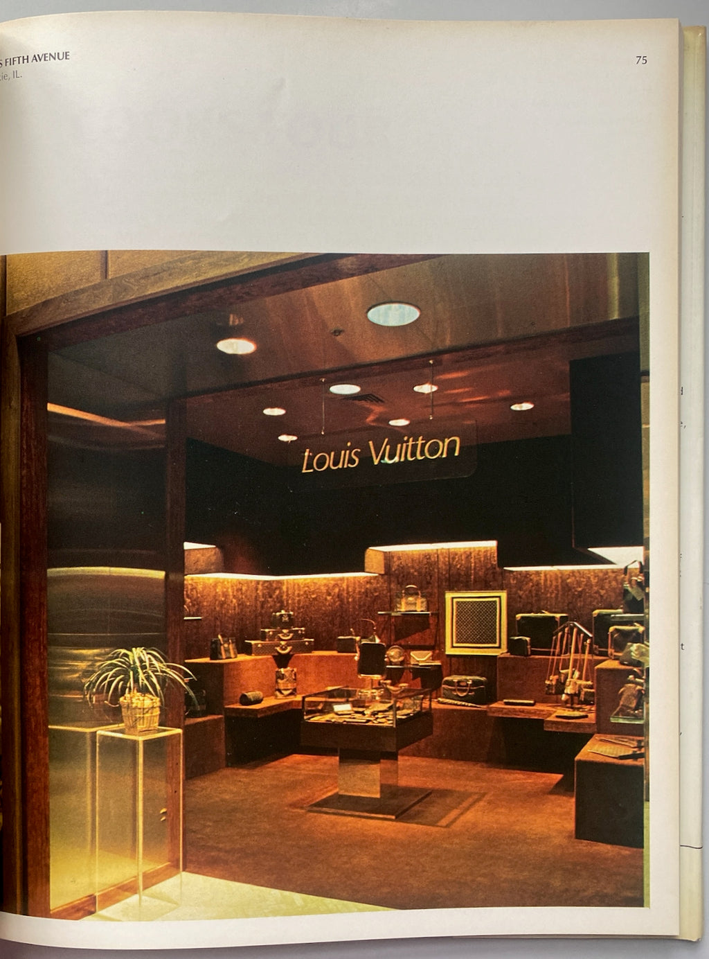 Stores of the Year 1979-80