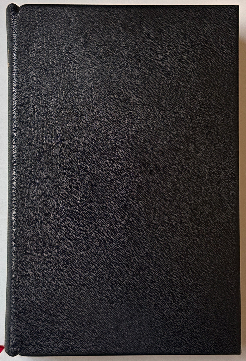 [SIGNED] MARTIN AMIS EXPERIENCE