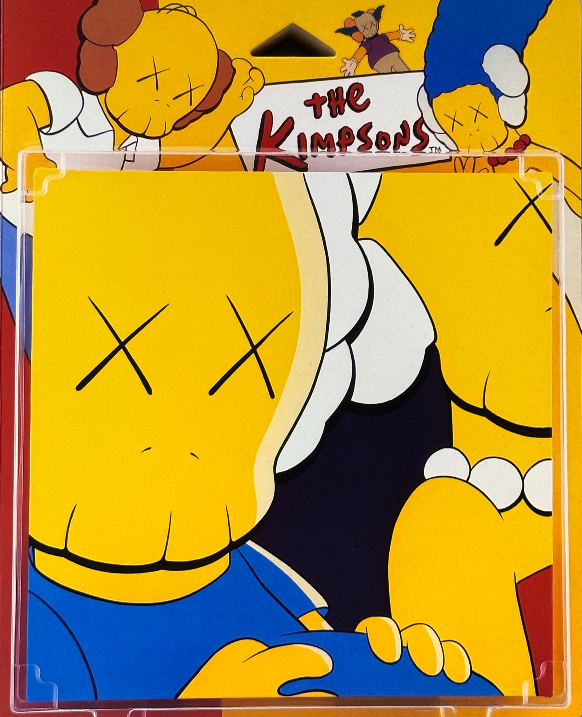 Kaws C10