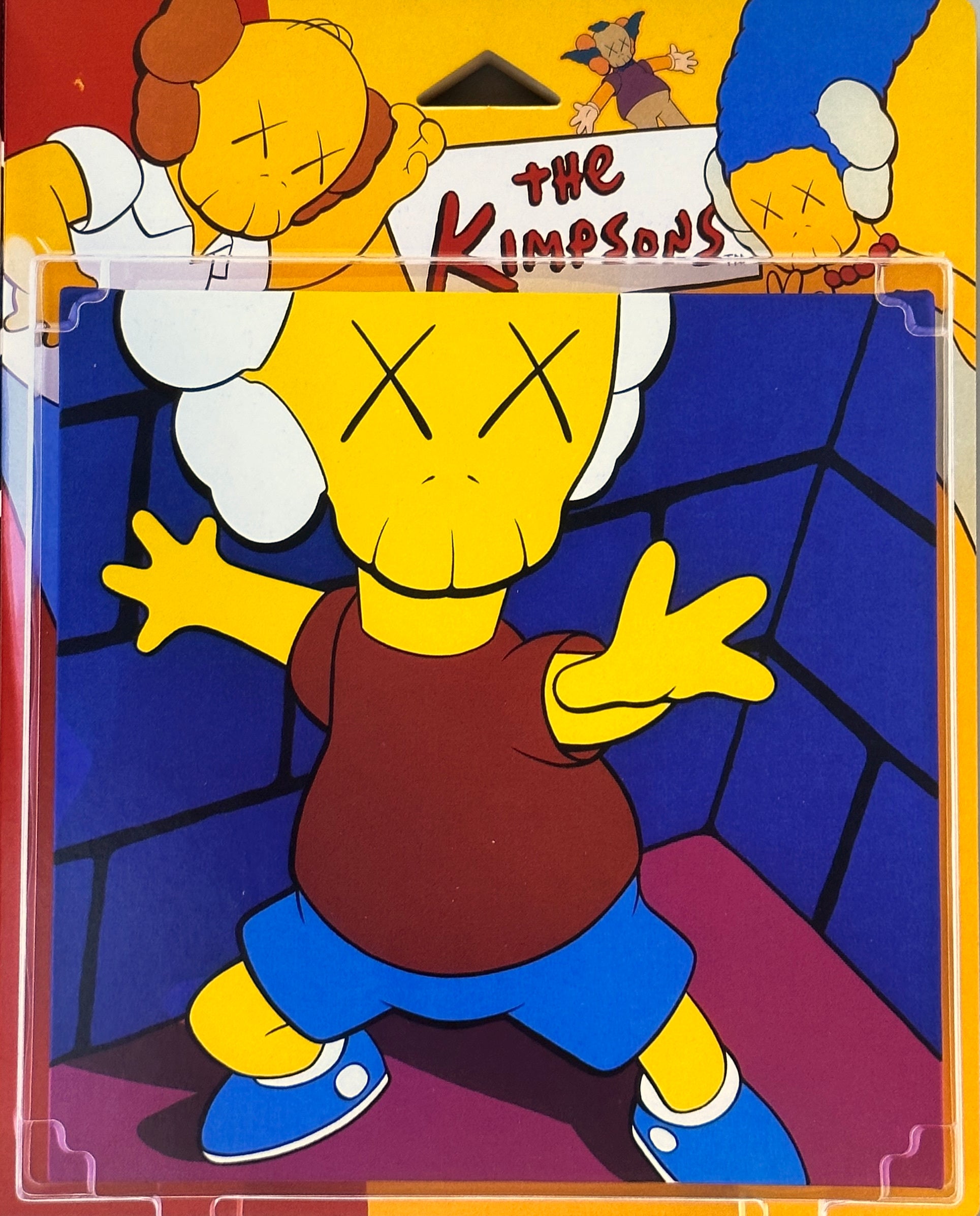 Kaws C10