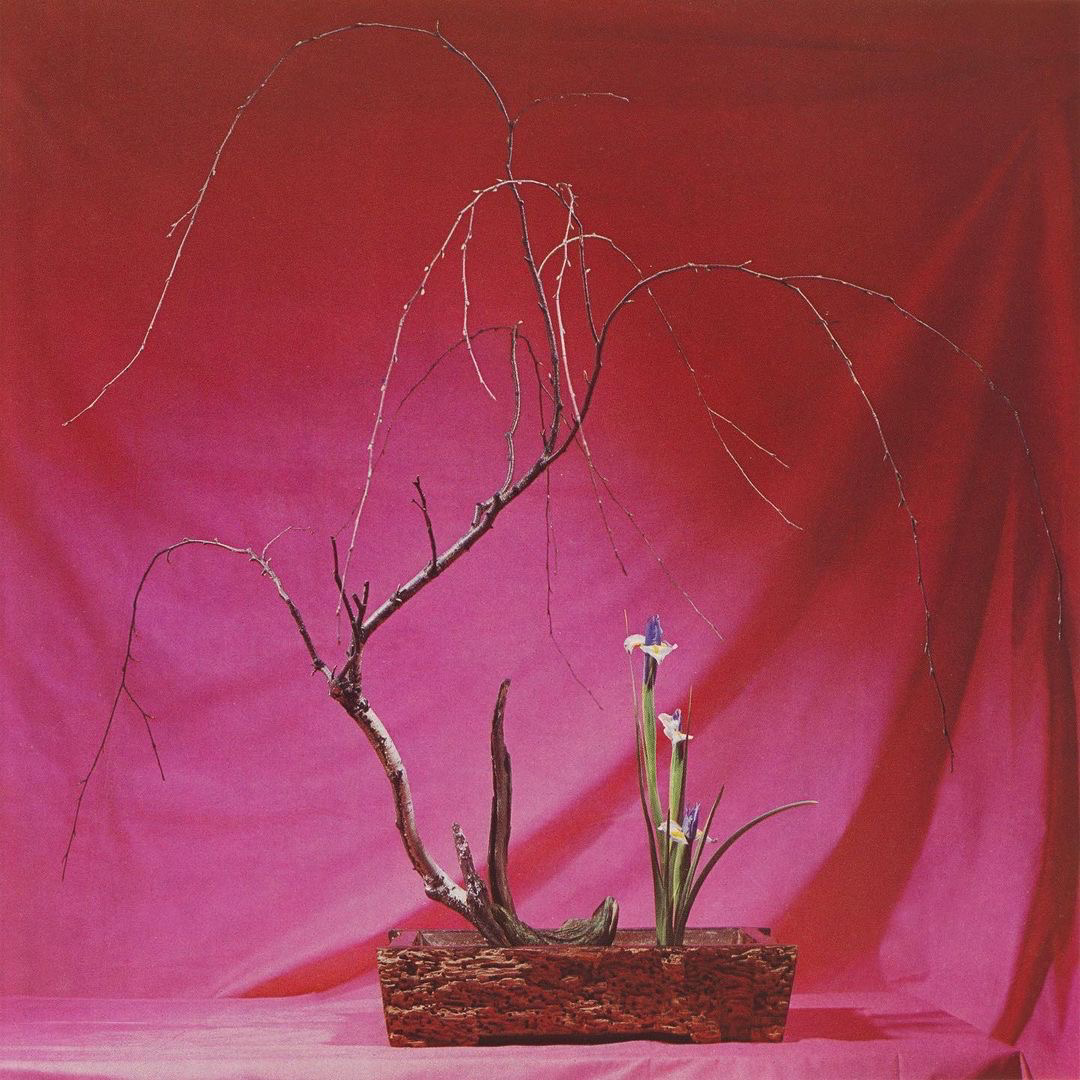 The Art of Arranging Flowers