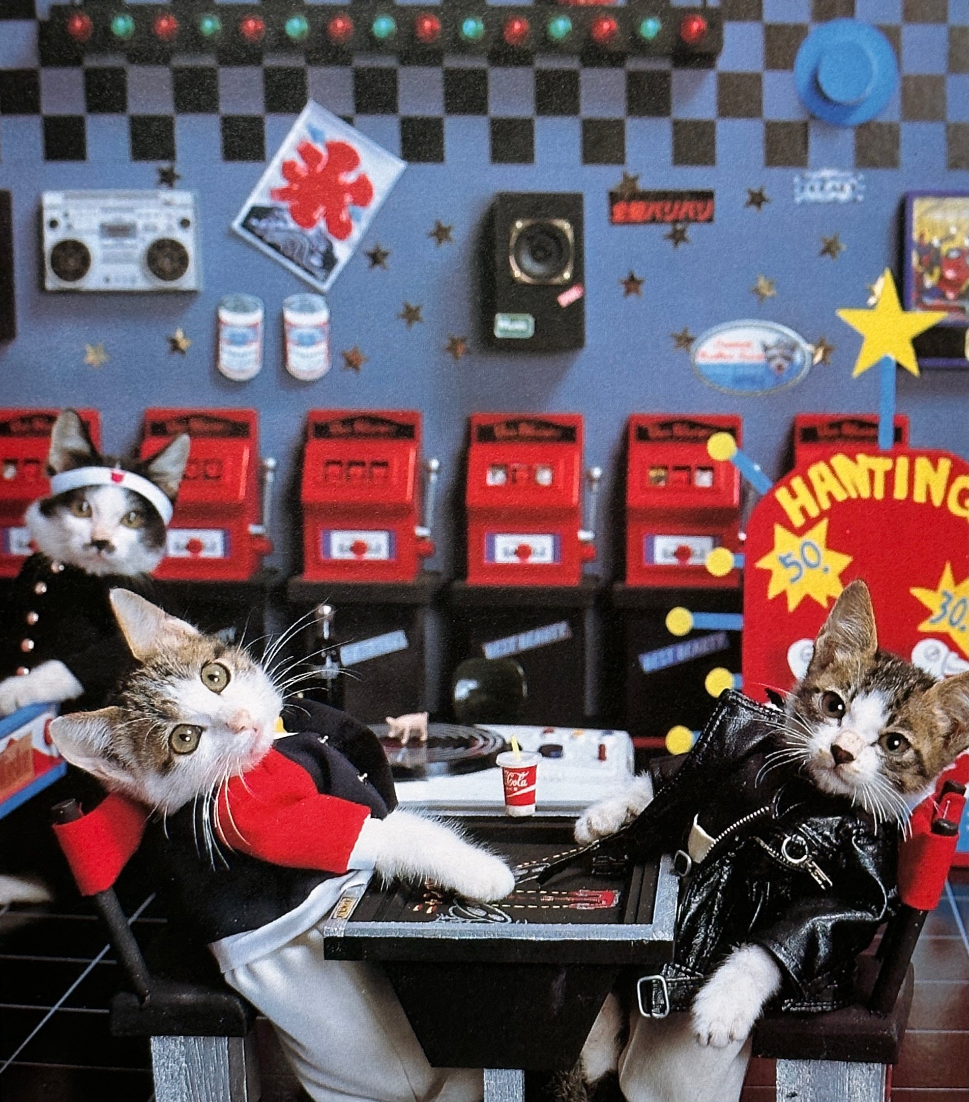 I'm Sorry Cats