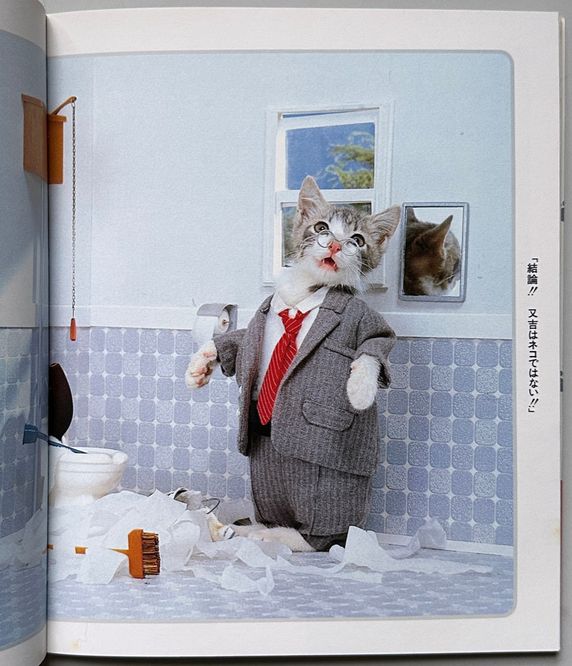 I'm Sorry Cats