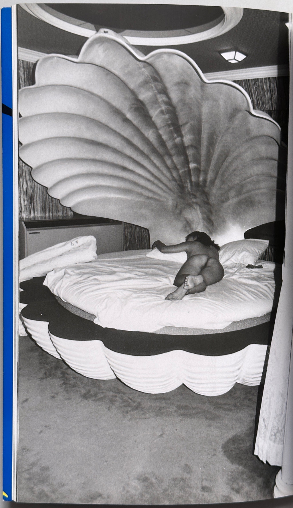 The Works of Nobuyoshi Araki 1-20
