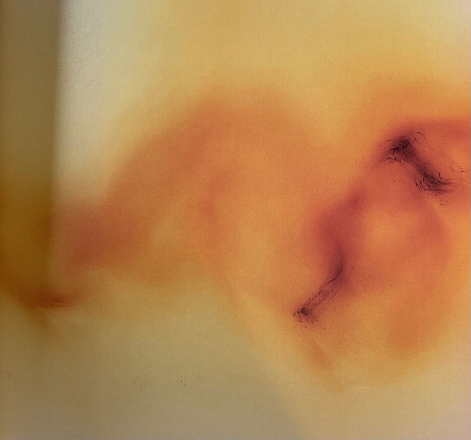 Wolfgang Tillmans Freedom from Known