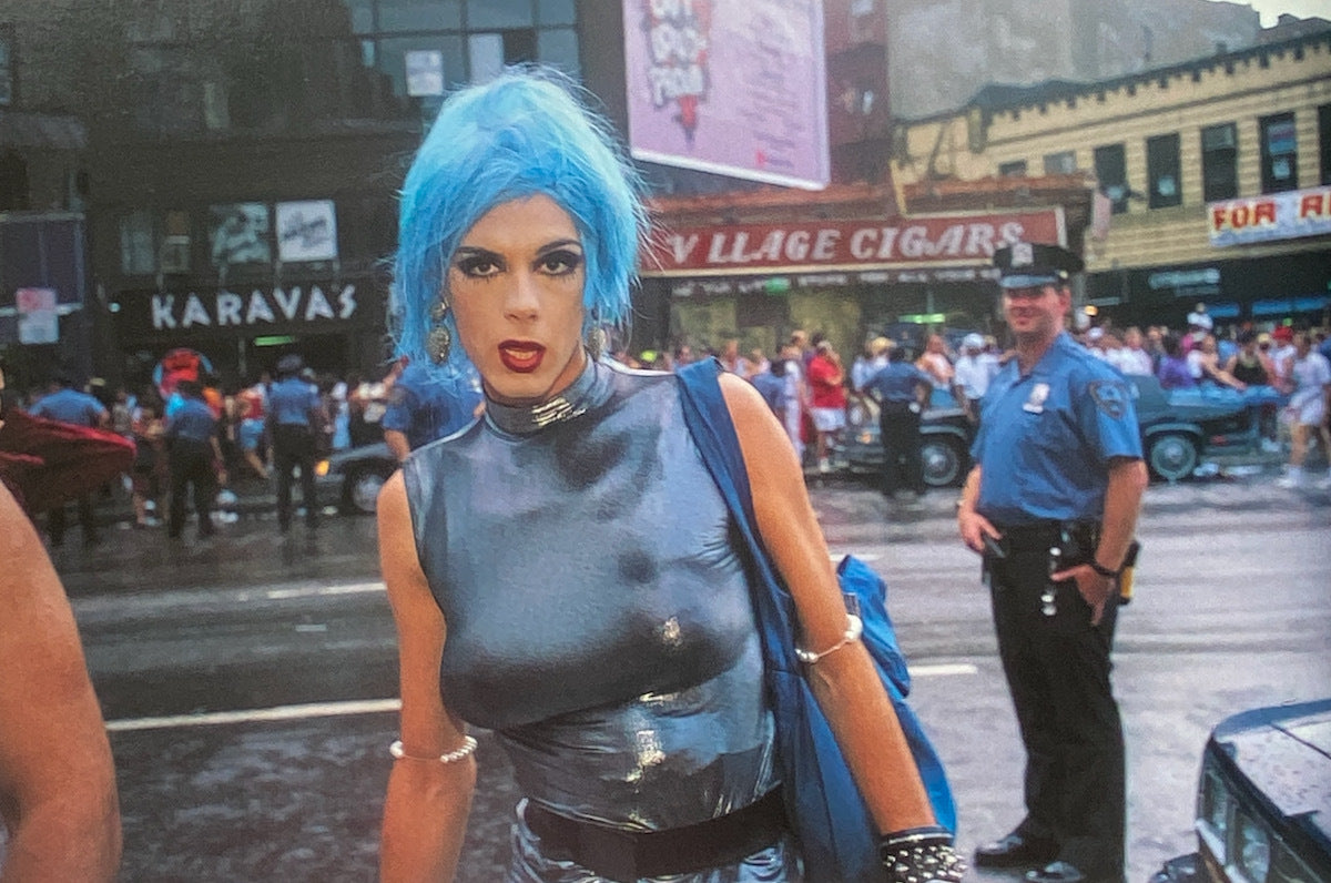 Nan Goldin The Other Side