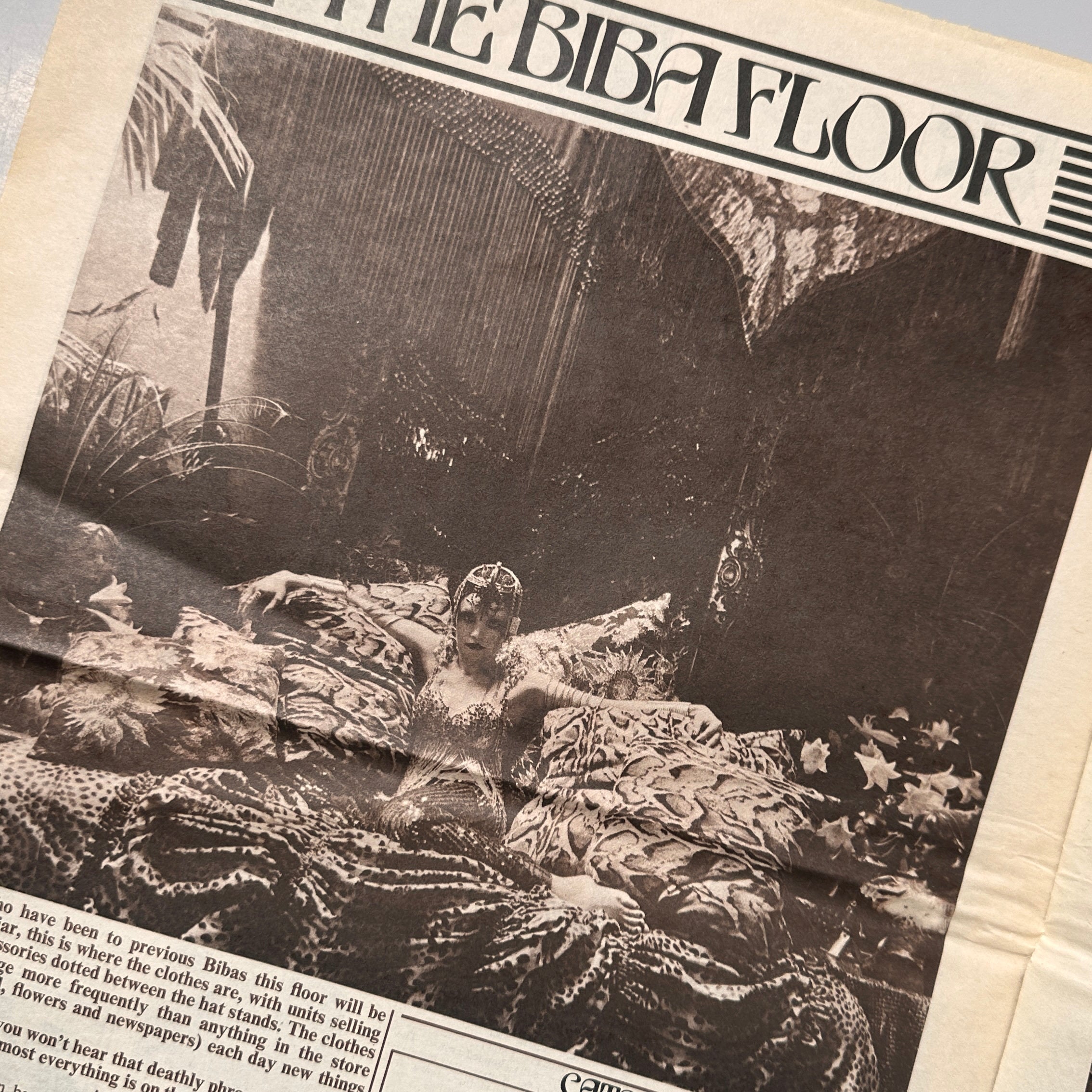 Welcome to the New Biba Newspaper