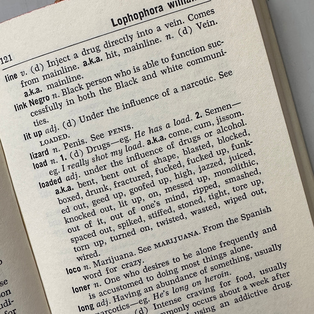 The Underground Dictionary