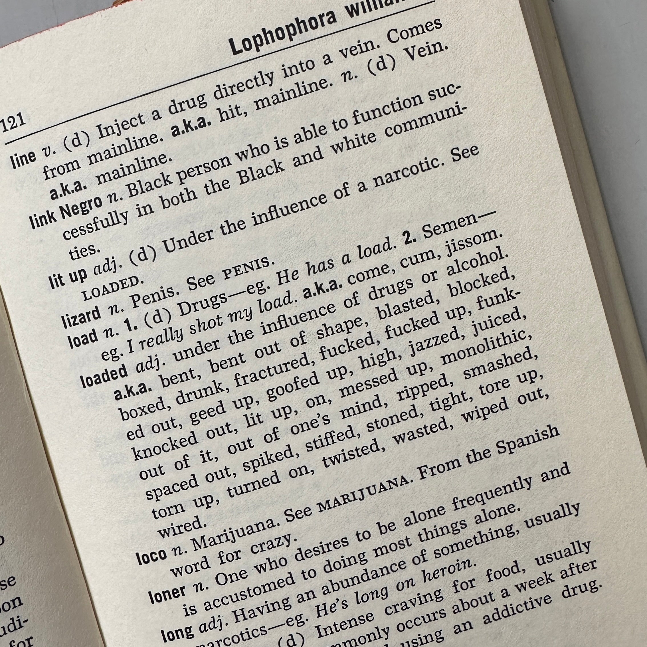 The Underground Dictionary