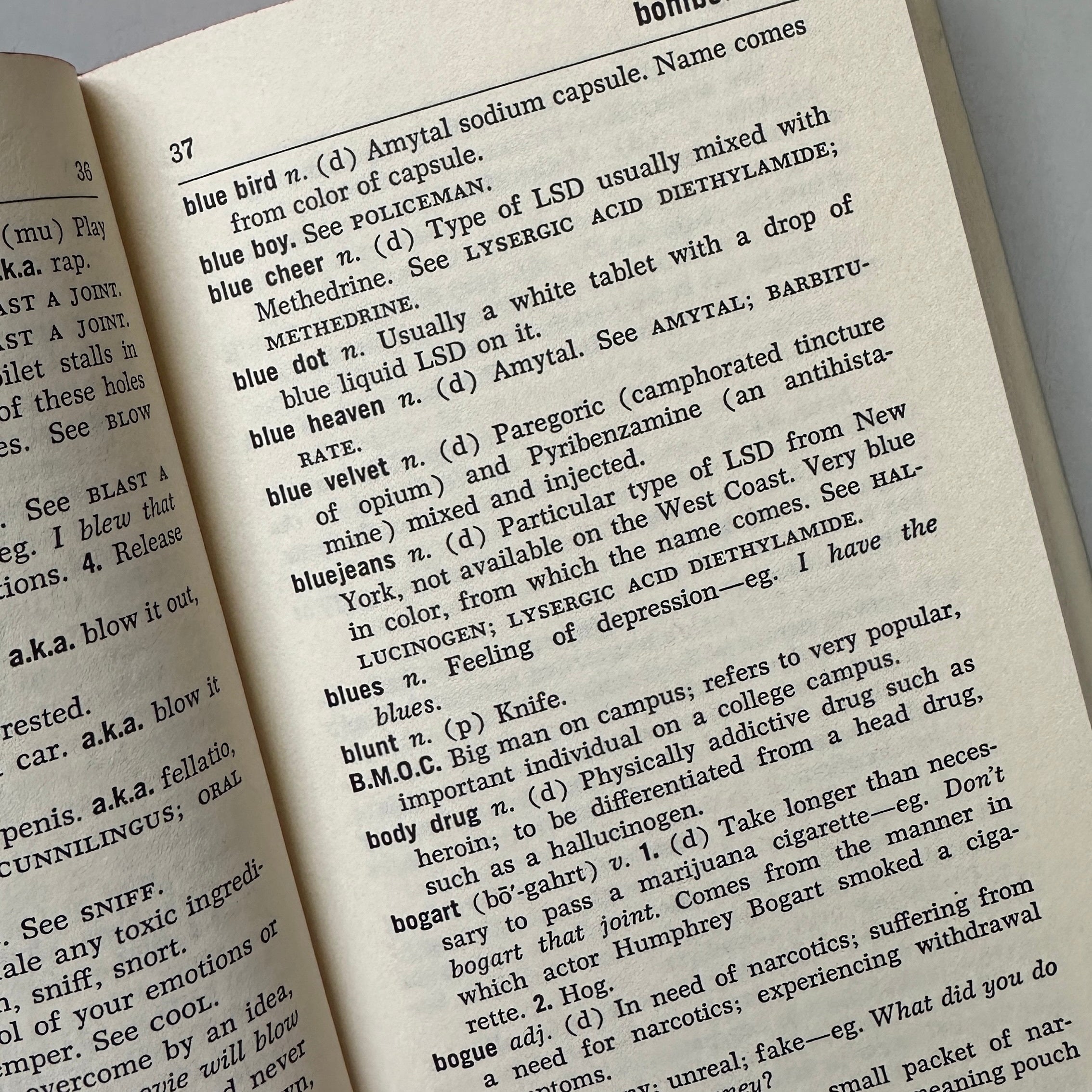 The Underground Dictionary