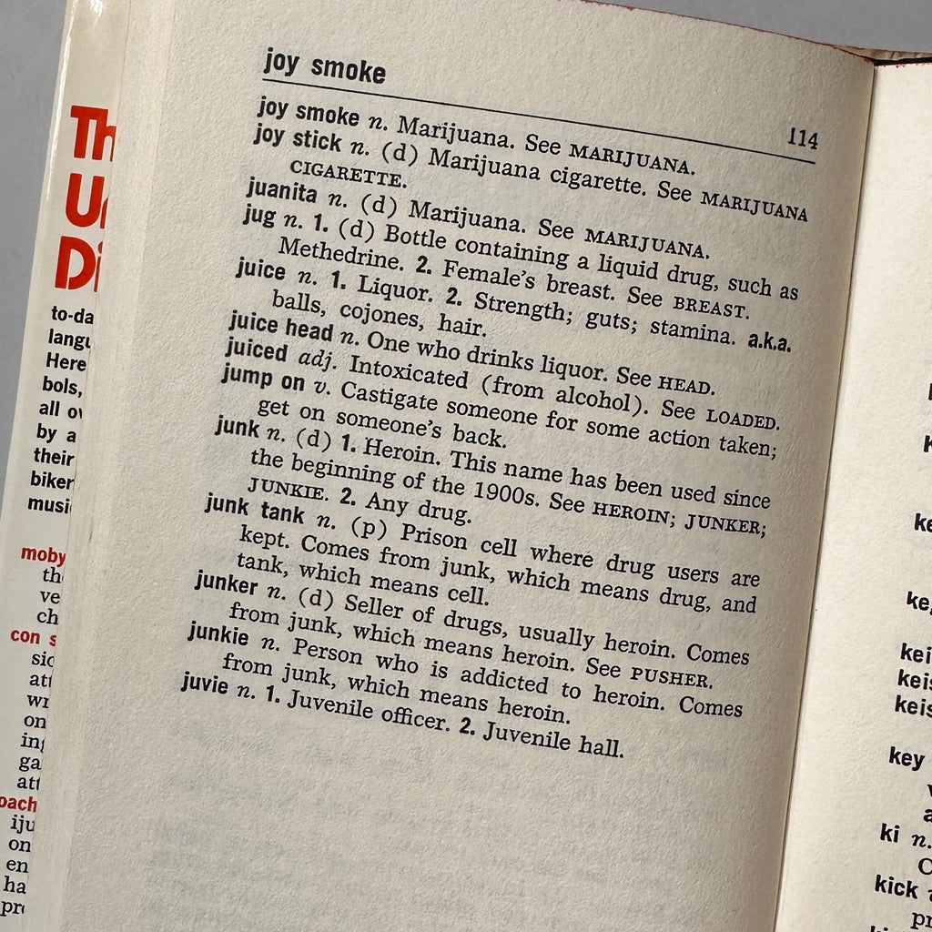 The Underground Dictionary
