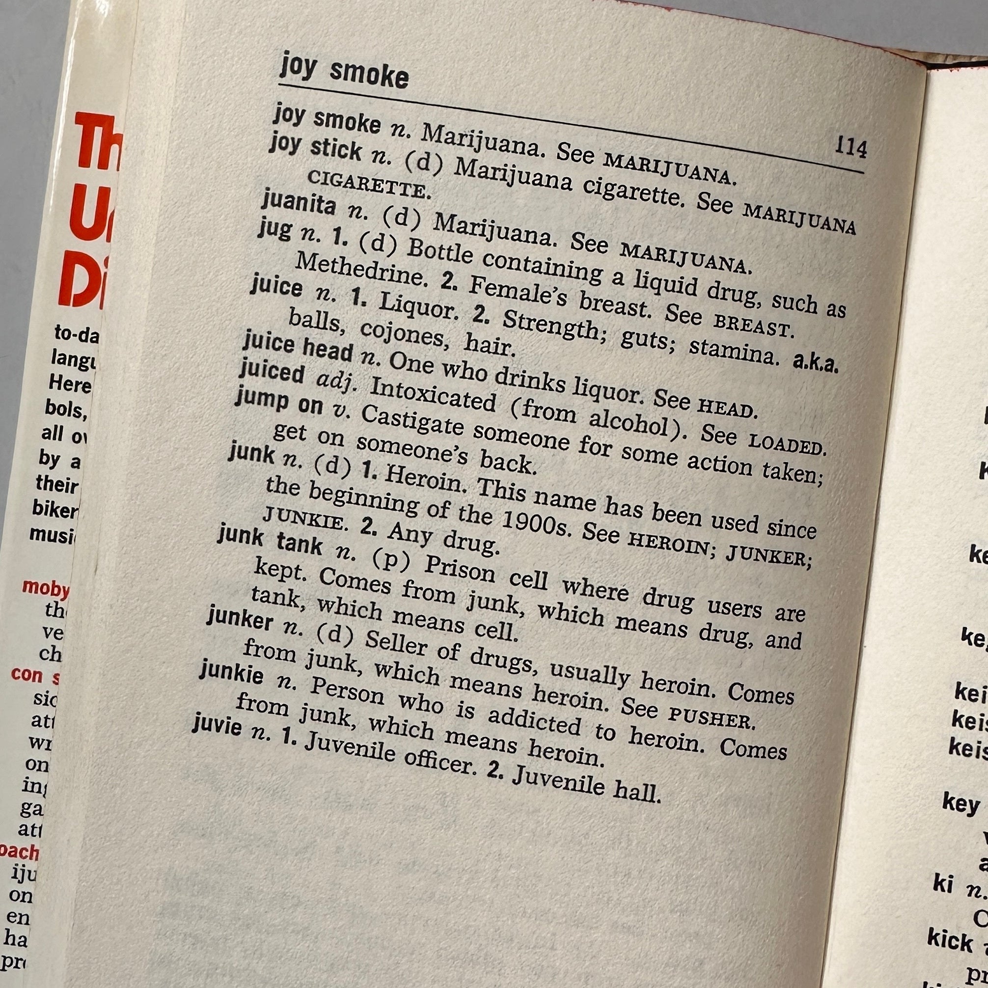 The Underground Dictionary