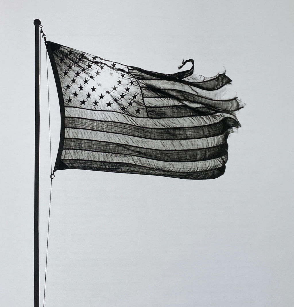 Robert Mapplethorpe Pictures