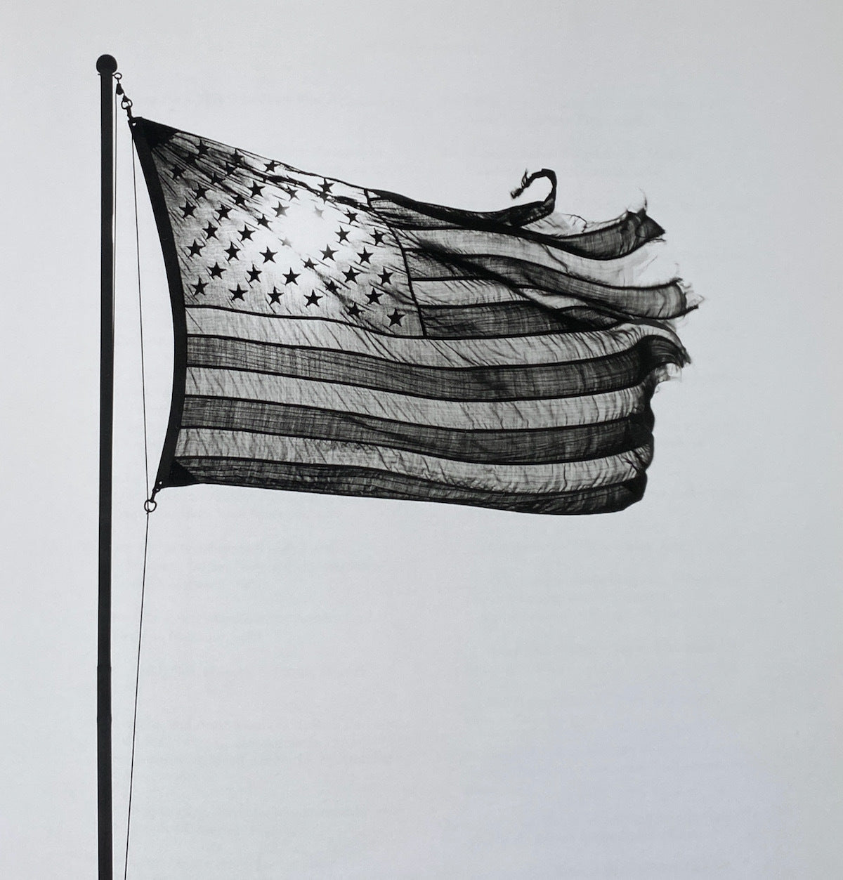 Robert Mapplethorpe Pictures