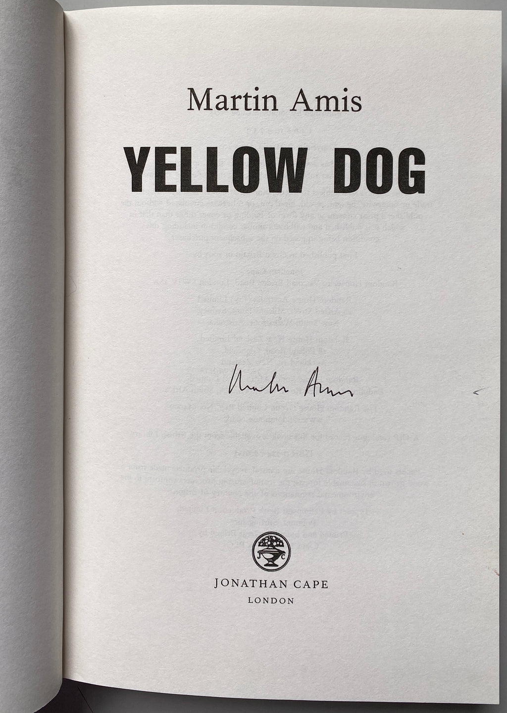 Martin Amis Yellow Dog