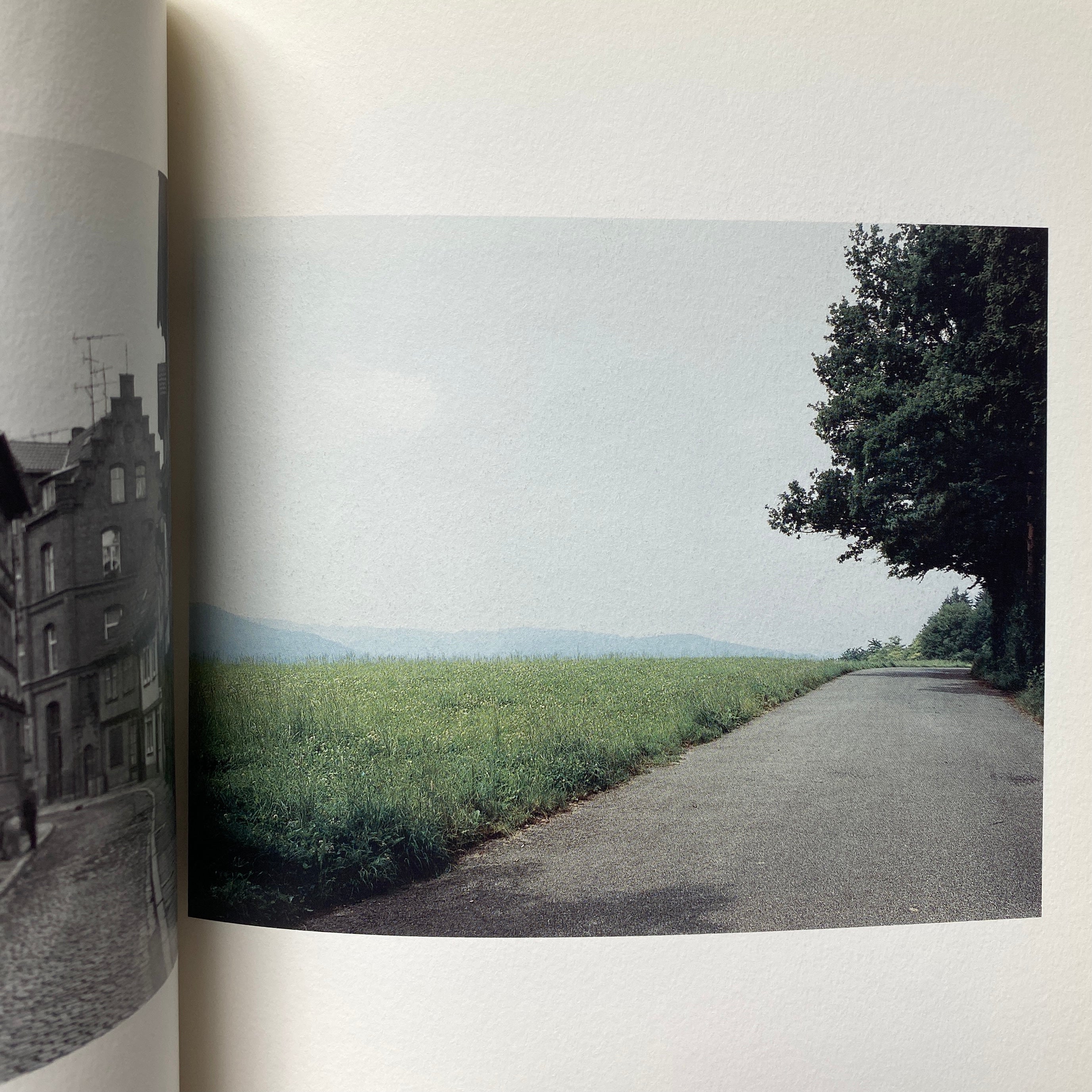 Thomas Struth My Portrait