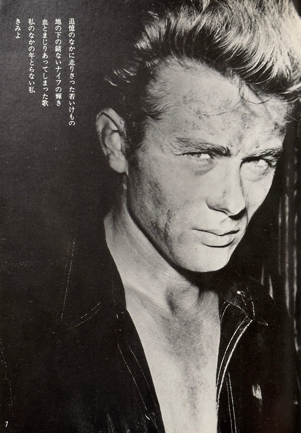 James Dean Icon Book