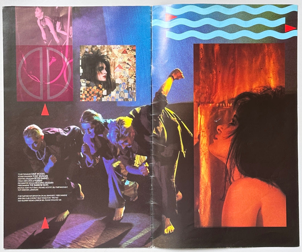 Siouxsie and The Banshees