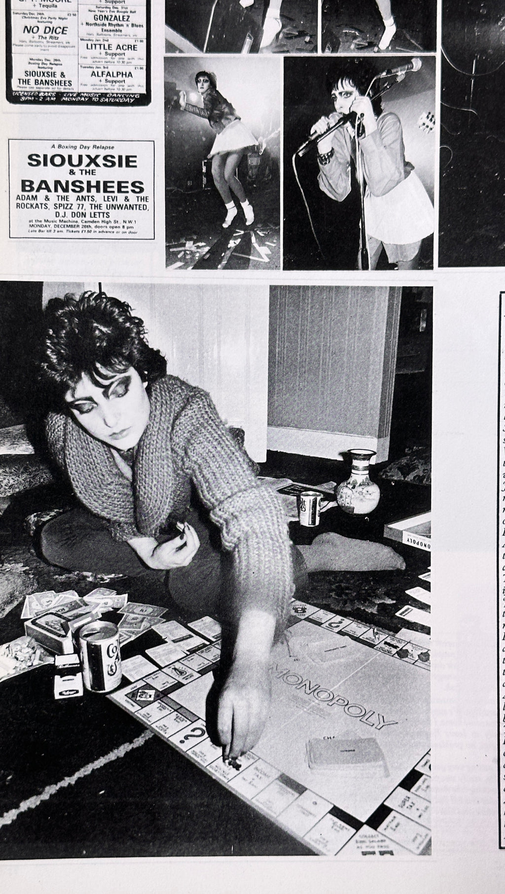 Siouxsie and The Banshees Photo Book