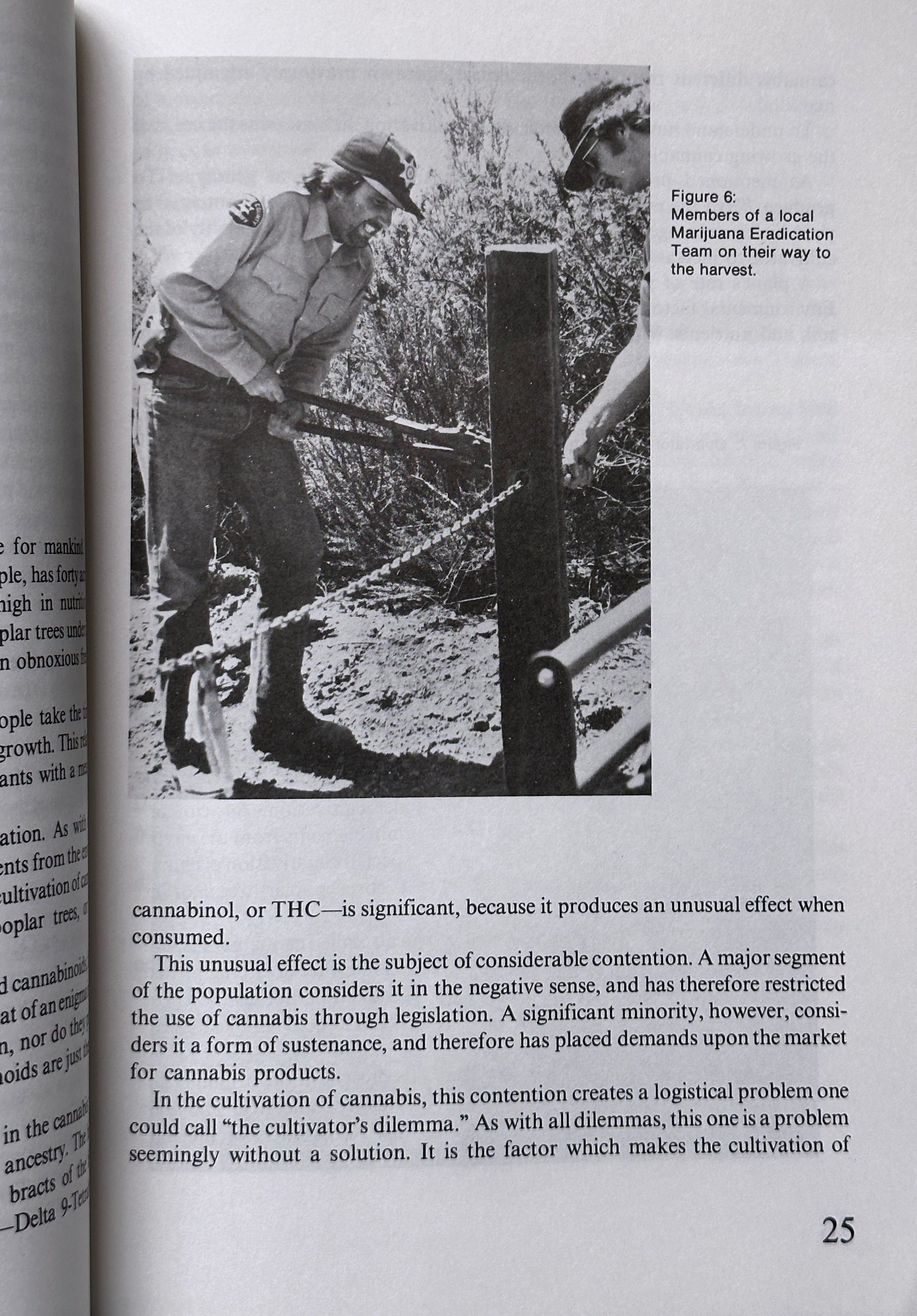The Sinsemilla Technique