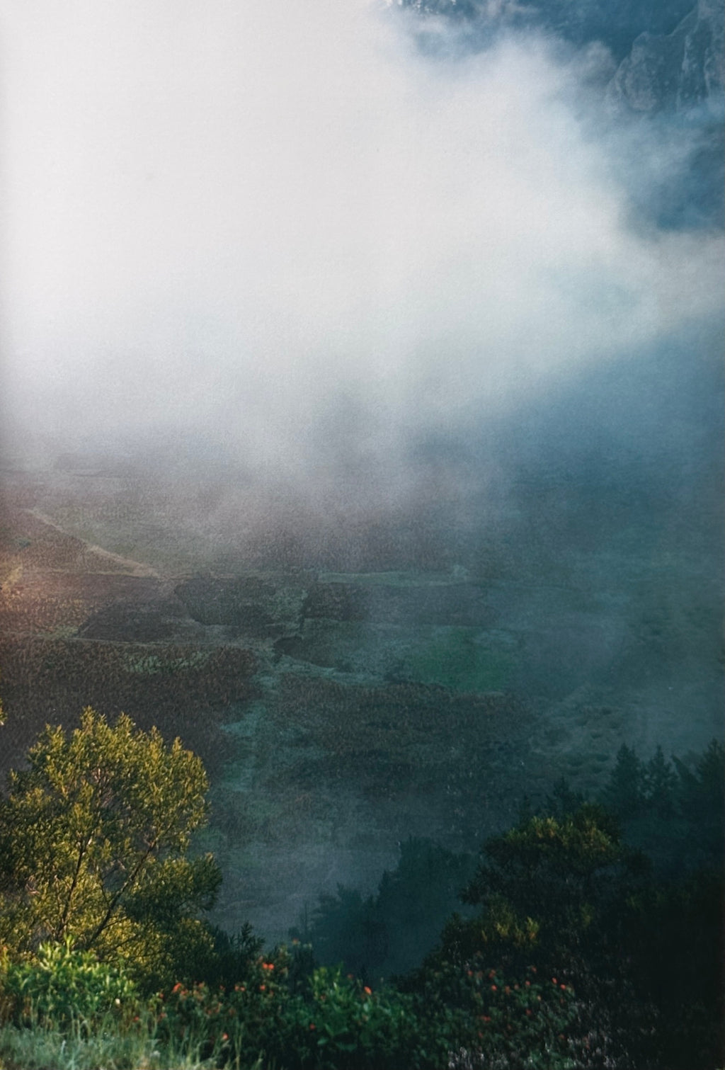 Wolfgang Tillmans On The Verge of Visibility