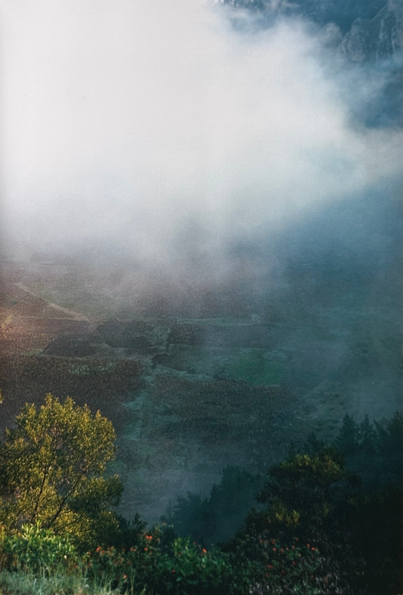 Wolfgang Tillmans On The Verge of Visibility