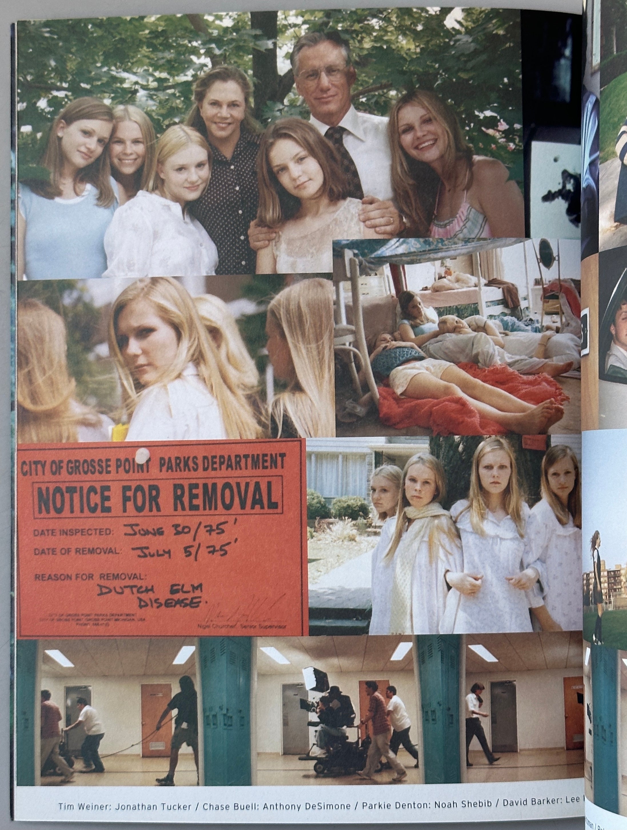 The Virgin Suicides No.1 Japanese Edition
