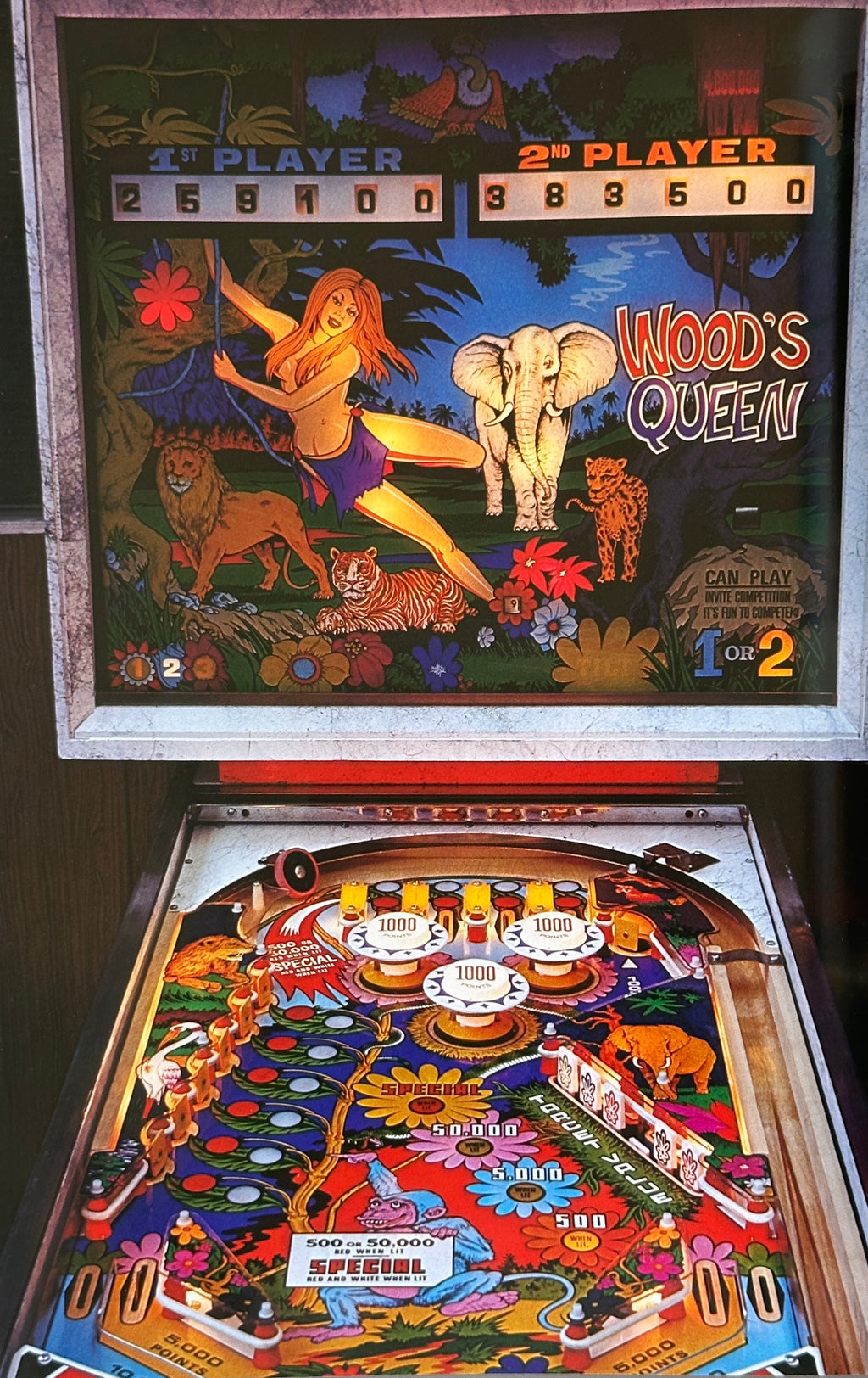 Pinball!