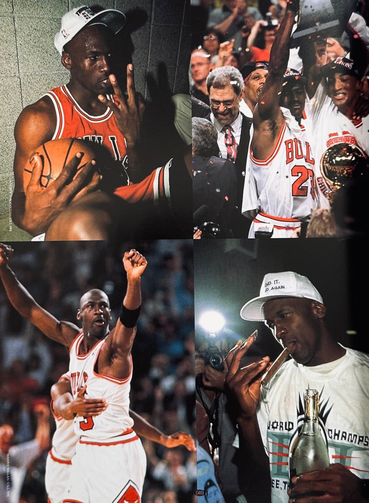 Michael Jordan The Air