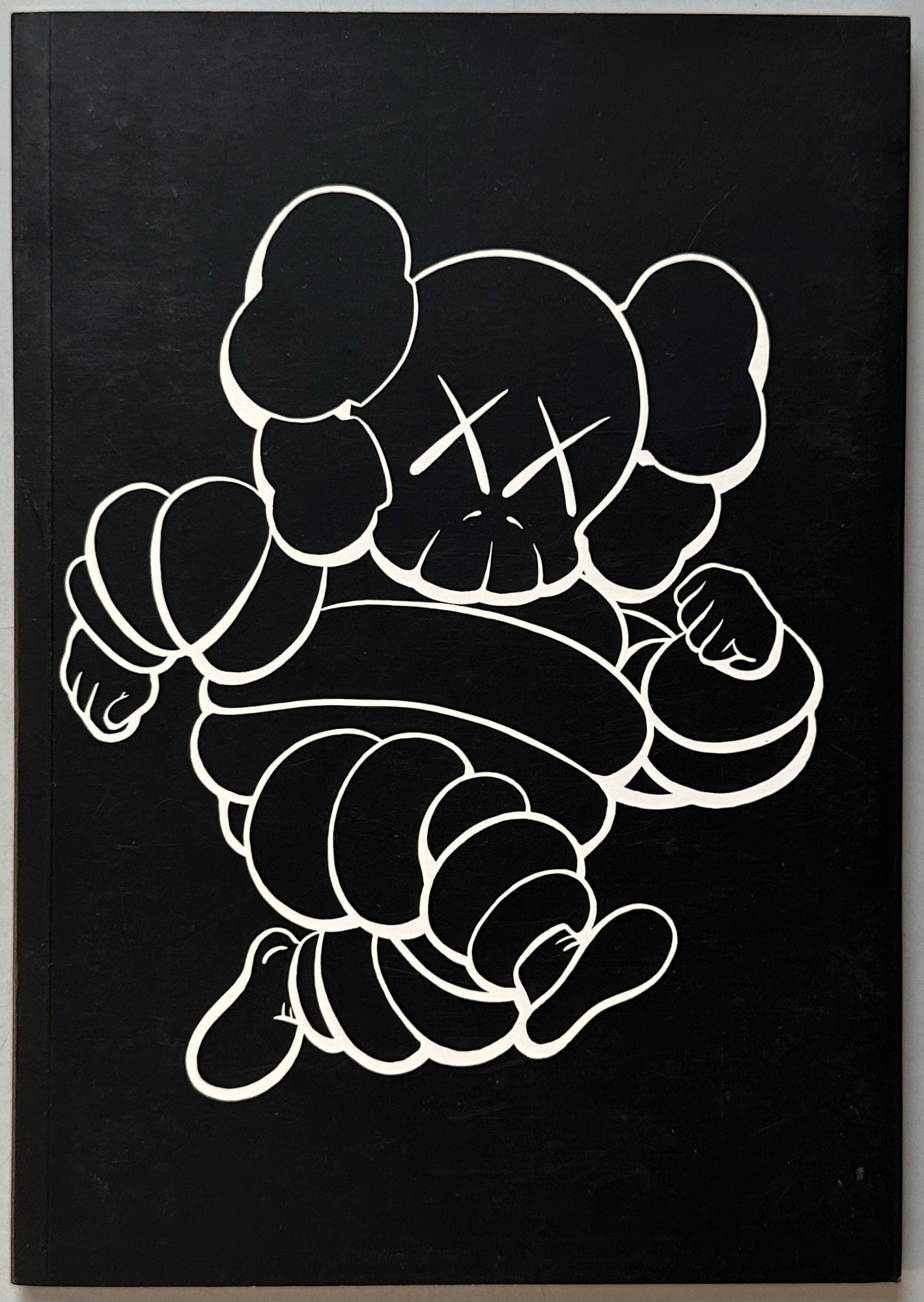 Kaws Exposed